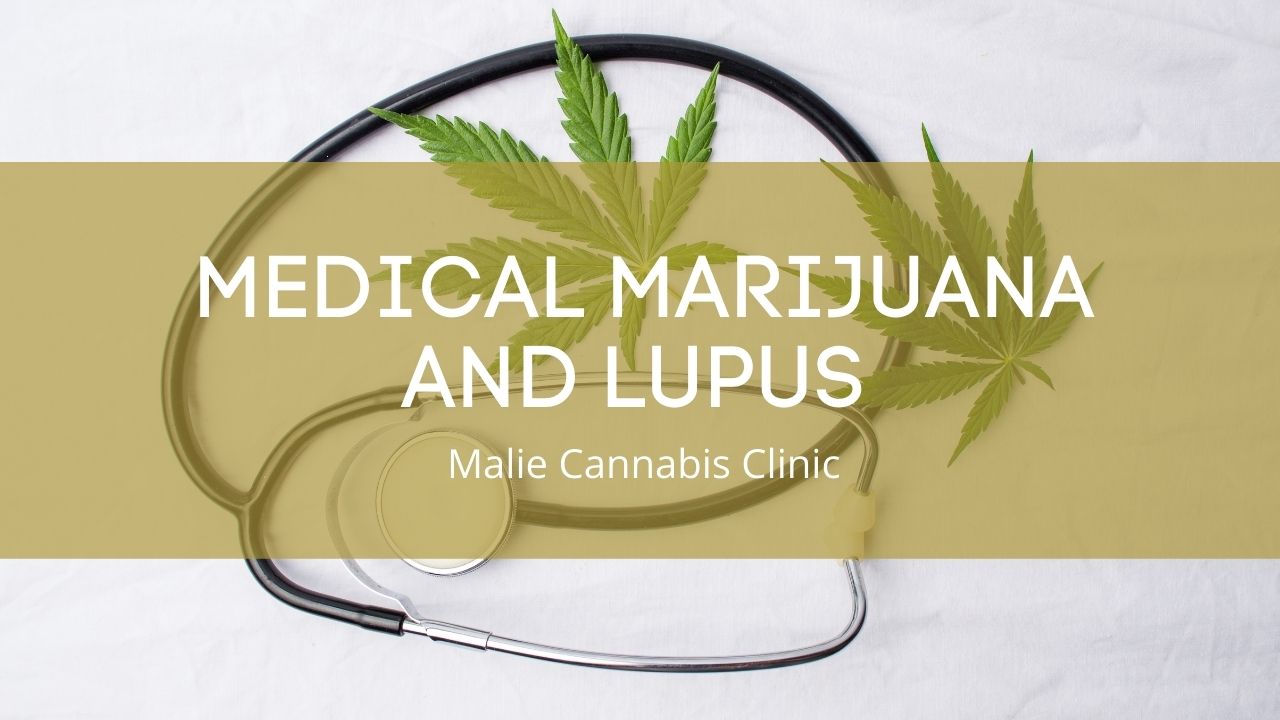 Medical Marijuana and Lupus Medical Marijuana and Lupus